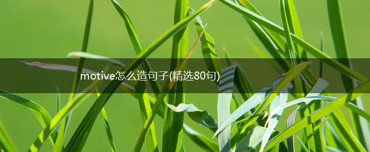 motive怎么造句子(精选80句),第1张