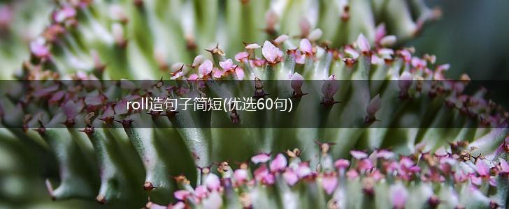 roll造句子简短(优选60句),第1张