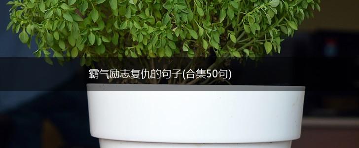 霸气励志复仇的句子(合集50句),第1张