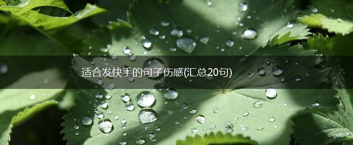 适合发快手的句子伤感(汇总20句),第1张