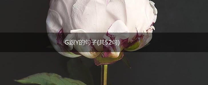 G跟Y的句子(共52句),第1张