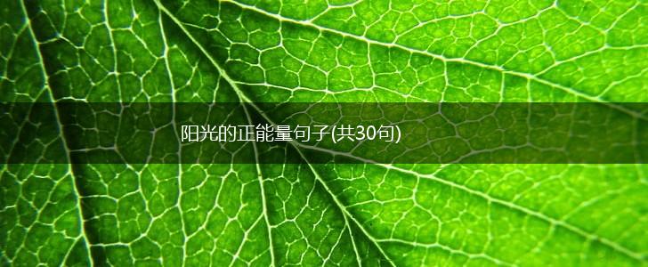 阳光的正能量句子(共30句),第1张