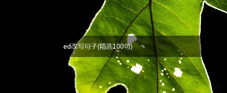 ed改写句子(精选100句),第1张