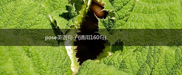 pose英语句子(通用160句),第1张