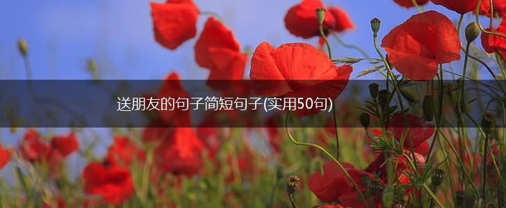 送朋友的句子简短句子(实用50句),第1张