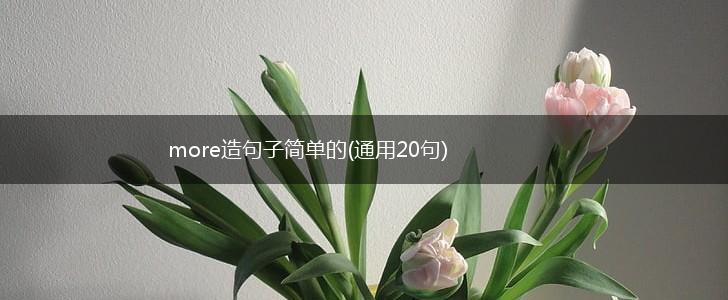 more造句子简单的(通用20句),第1张