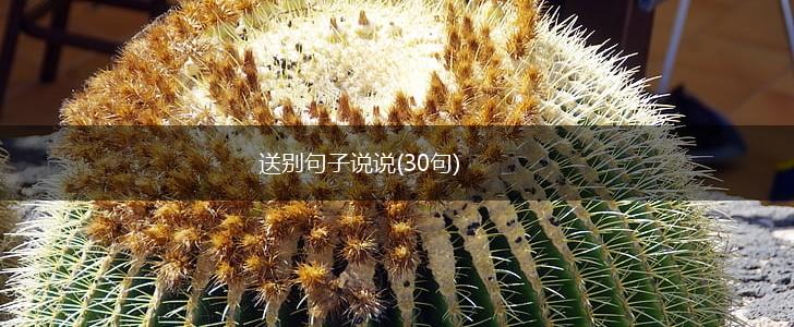 送别句子说说(30句),第1张
