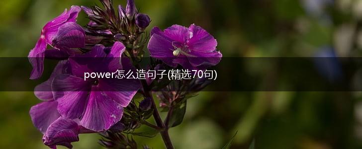 power怎么造句子(精选70句),第1张