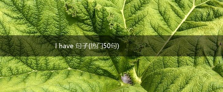 l have 句子(热门50句),第1张