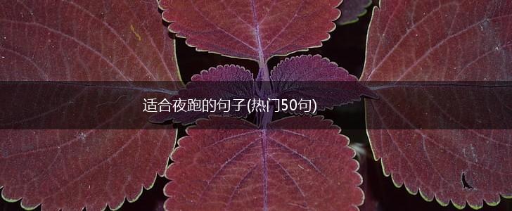 适合夜跑的句子(热门50句),第1张
