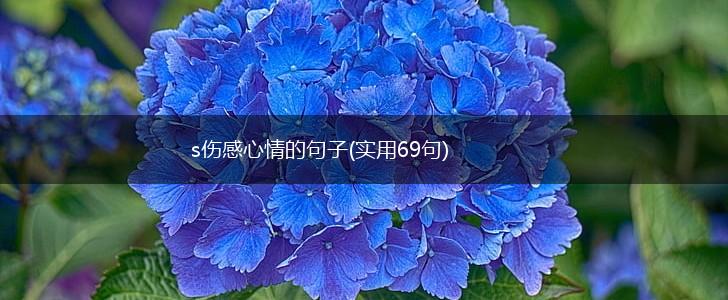 s伤感心情的句子(实用69句),第1张