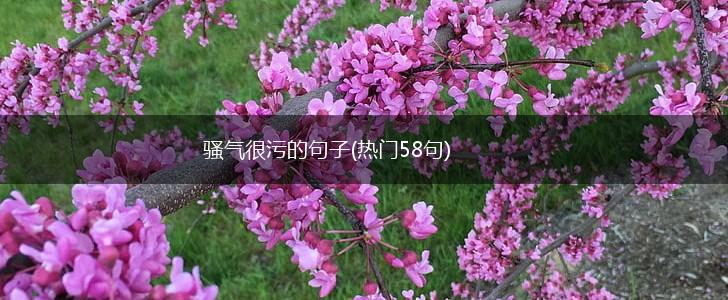 骚气很污的句子(热门58句),第1张