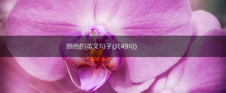 颜色的英文句子(共49句),第1张