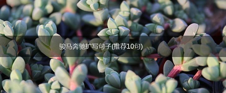 骏马奔驰扩写句子(推荐10句),第1张