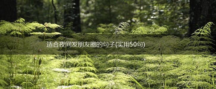 适合夜间发朋友圈的句子(实用50句),第1张