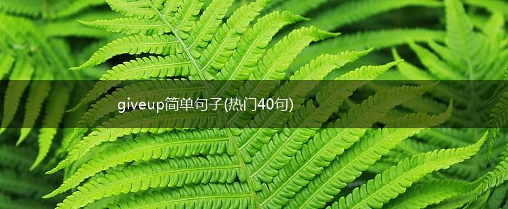 giveup简单句子(热门40句),第1张