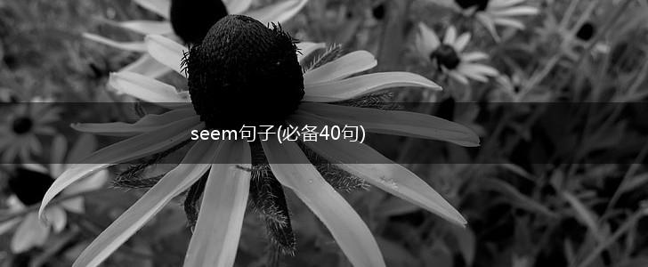 seem句子(必备40句),第1张