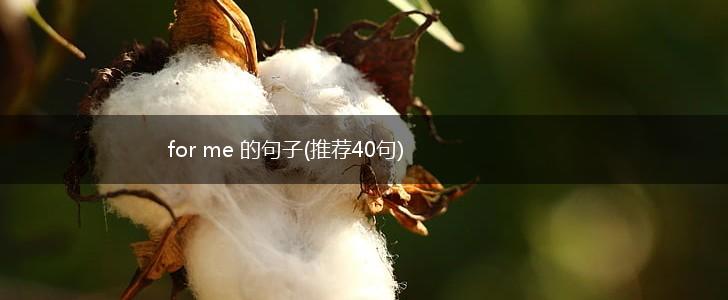 for me 的句子(推荐40句),第1张