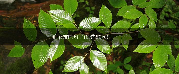 追女友的句子(优选50句),第1张