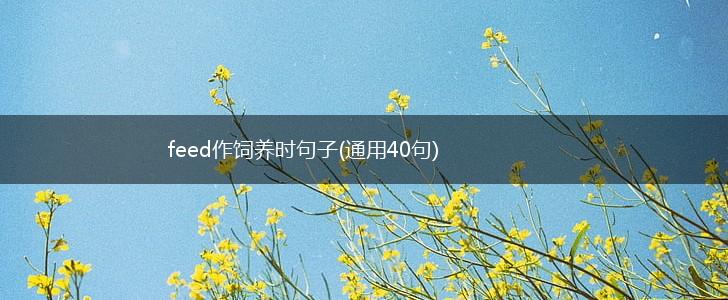 feed作饲养时句子(通用40句),第1张