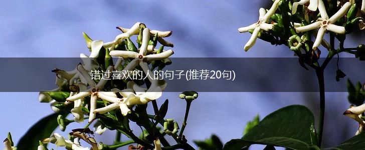 错过喜欢的人的句子(推荐20句),第1张