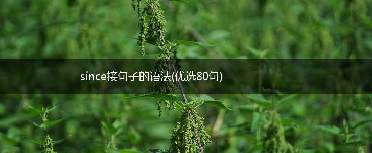 since接句子的语法(优选80句),第1张