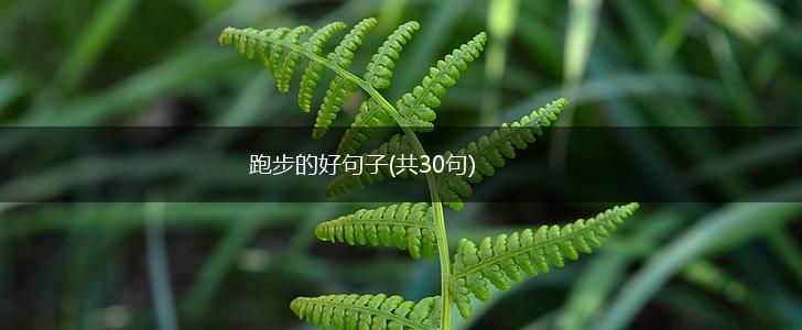 跑步的好句子(共30句),第1张
