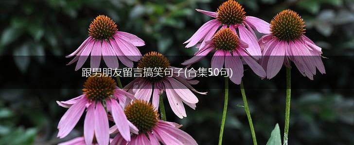 跟男朋友留言搞笑句子(合集50句),第1张