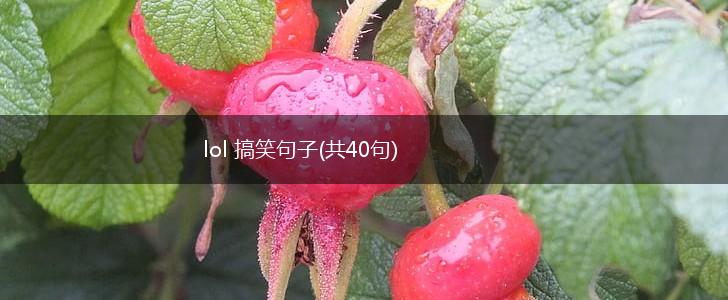 lol 搞笑句子(共40句),第1张