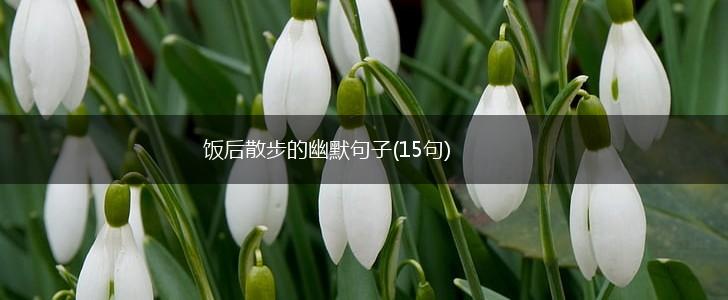 饭后散步的幽默句子(15句),第1张