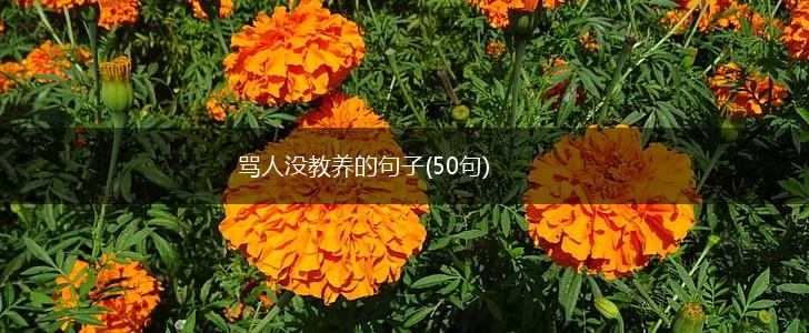 骂人没教养的句子(50句),第1张
