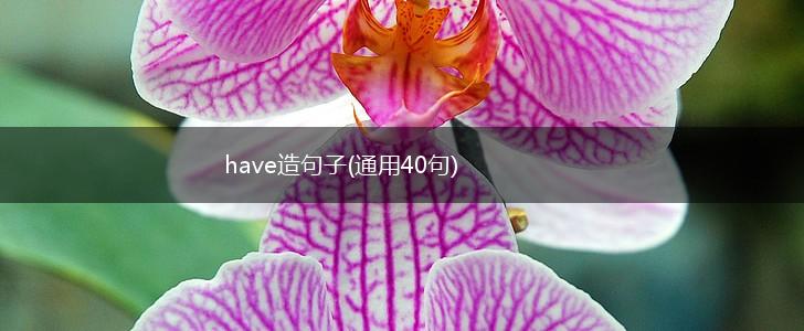 have造句子(通用40句),第1张