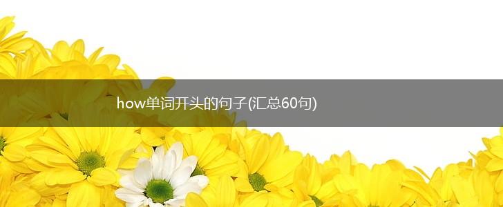 how单词开头的句子(汇总60句),第1张