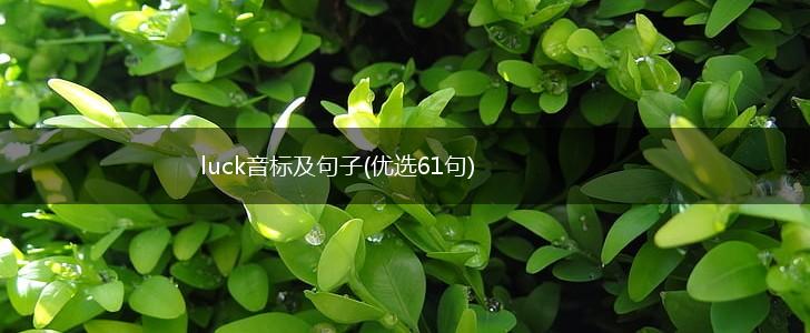 luck音标及句子(优选61句),第1张