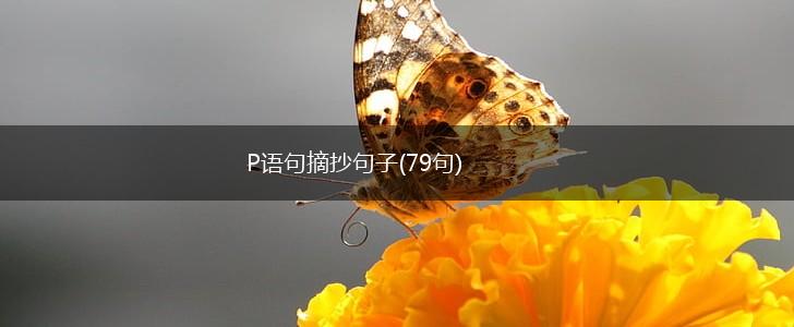 P语句摘抄句子(79句),第1张