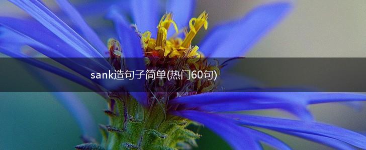 sank造句子简单(热门60句),第1张