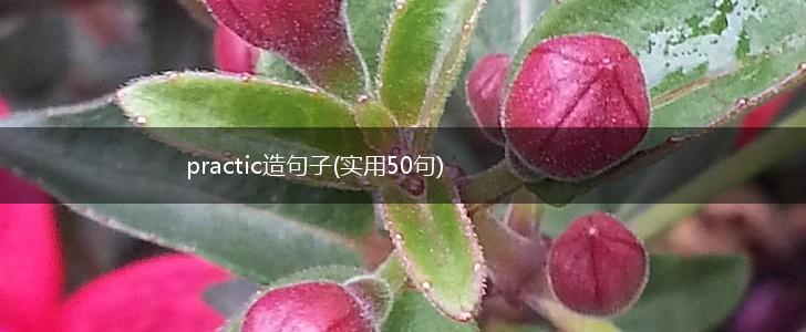 practic造句子(实用50句),第1张