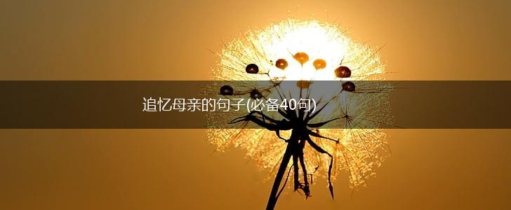 追忆母亲的句子(必备40句),第1张