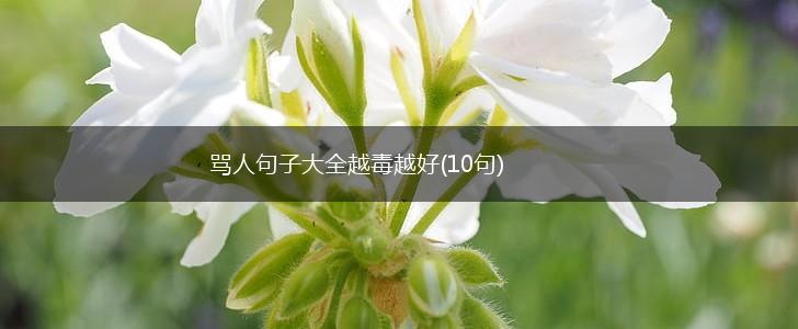 骂人句子大全越毒越好(10句),第1张