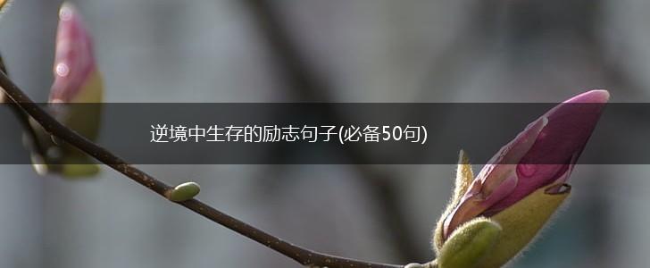 逆境中生存的励志句子(必备50句),第1张