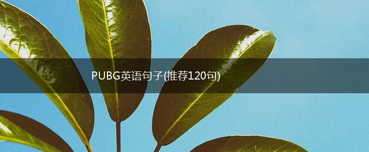 PUBG英语句子(推荐120句),第1张