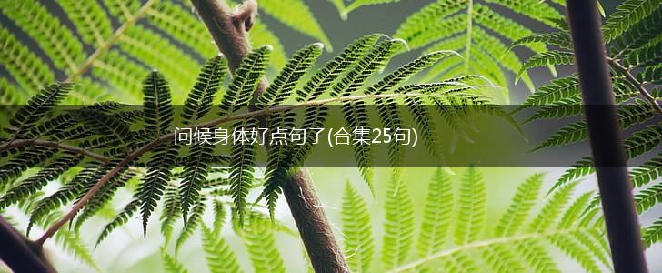 问候身体好点句子(合集25句),第1张