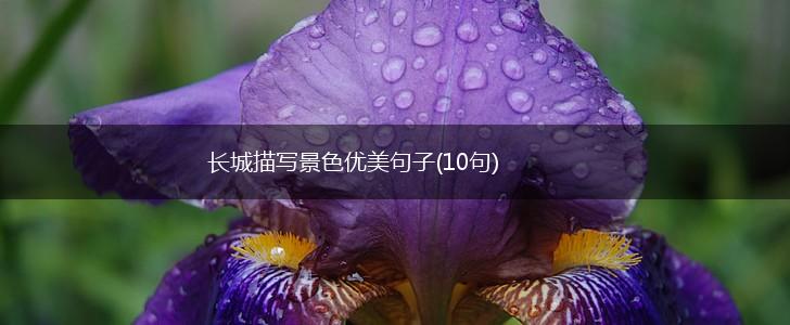 长城描写景色优美句子(10句),第1张