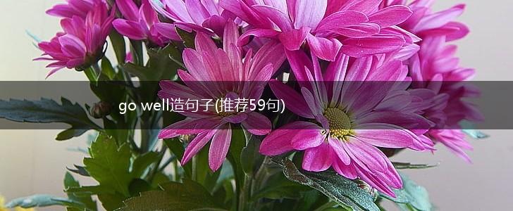 go well造句子(推荐59句),第1张