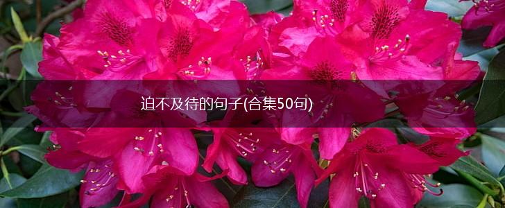 迫不及待的句子(合集50句),第1张