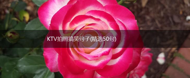 KTV拍照搞笑句子(精选50句),第1张