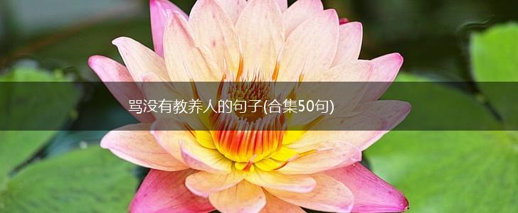 骂没有教养人的句子(合集50句),第1张