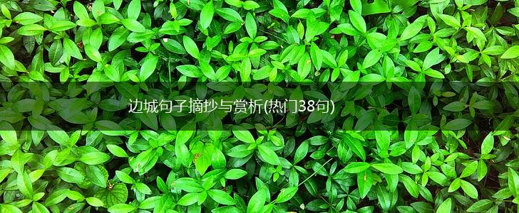 边城句子摘抄与赏析(热门38句),第1张