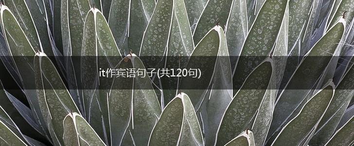 it作宾语句子(共120句),第1张