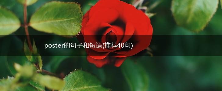 poster的句子和短语(推荐40句),第1张